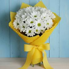 Букет цветов из:  Хризантемы в Первомайском Томской области
