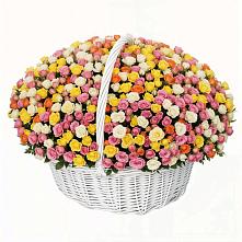 Премиум букет из: Розы в Первомайском Томской области