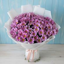 Букет цветов из:  Хризантемы в Первомайском Томской области