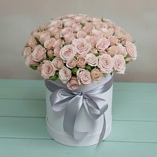 Цветочная композиция из Розы в шляпной коробке в Первомайском Томской области