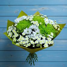 Букет цветов из:  Хризантемы #REPLACE_PRED# Первомайском Томской области