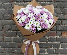 Букет цветов из:  Хризантемы #REPLACE_PRED# Первомайском Томской области