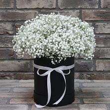 Цветочная композиция из Гипсофила в шляпной коробке в Первомайском Томской области