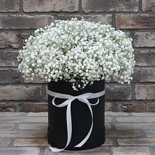 Цветочная композиция из Гипсофила в шляпной коробке в Первомайском Томской области